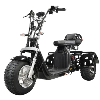 Горячий продаваемый складской Взрослый трехколесный велосипед Литиевая Батарея 60V 20Ah 1500w 2000w трехколесный электрический скутер citycoco