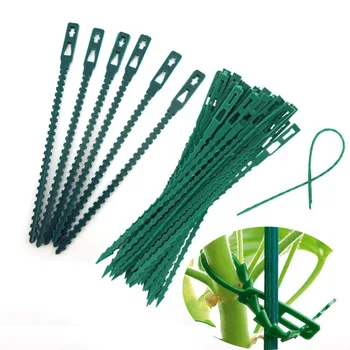 50шт Регулируемых пластиковых кабельных стяжек для растений, Многоразовые инструменты для обвязки рыбьей костью, наборы для выращивания в теплице для поддержки лазания по деревьям в саду